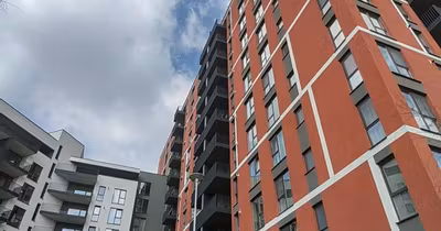 Apartament Theodor Pallady