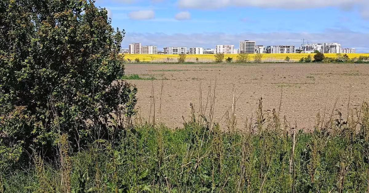 Teren agricol extravilan de vânzare de 25000 mp, în zona Exterior Vest, Constanța