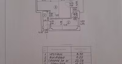 Apartament Romană