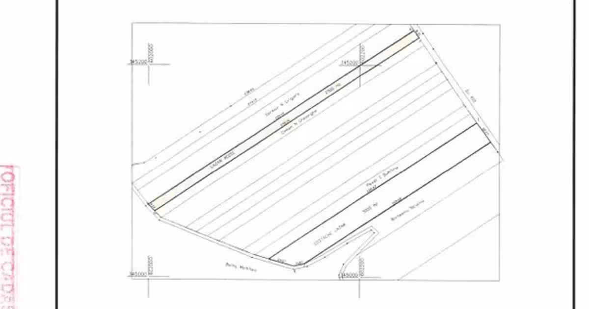 Teren Construcții extravilan de vânzare de 5000 mp, în Petrăchioaia