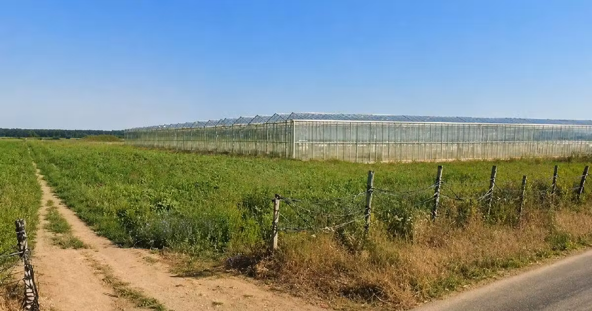 Teren Construcții intravilan de vânzare de 30000 mp, în Bucșani