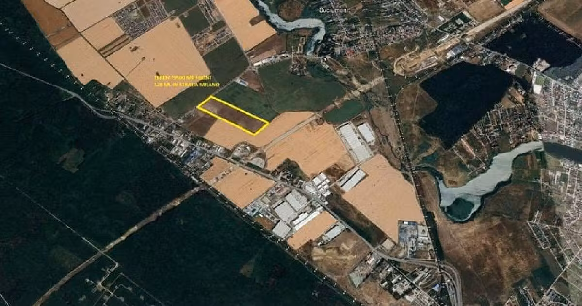 Teren Construcții intravilan de vânzare de 79500 mp, în Buftea