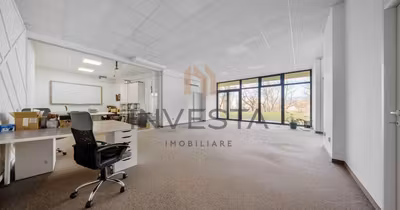 Spațiu comercial Iris