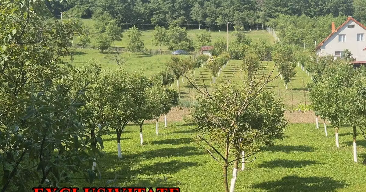 Teren Construcții intravilan de vânzare de 2292 mp, în Vințu de Jos