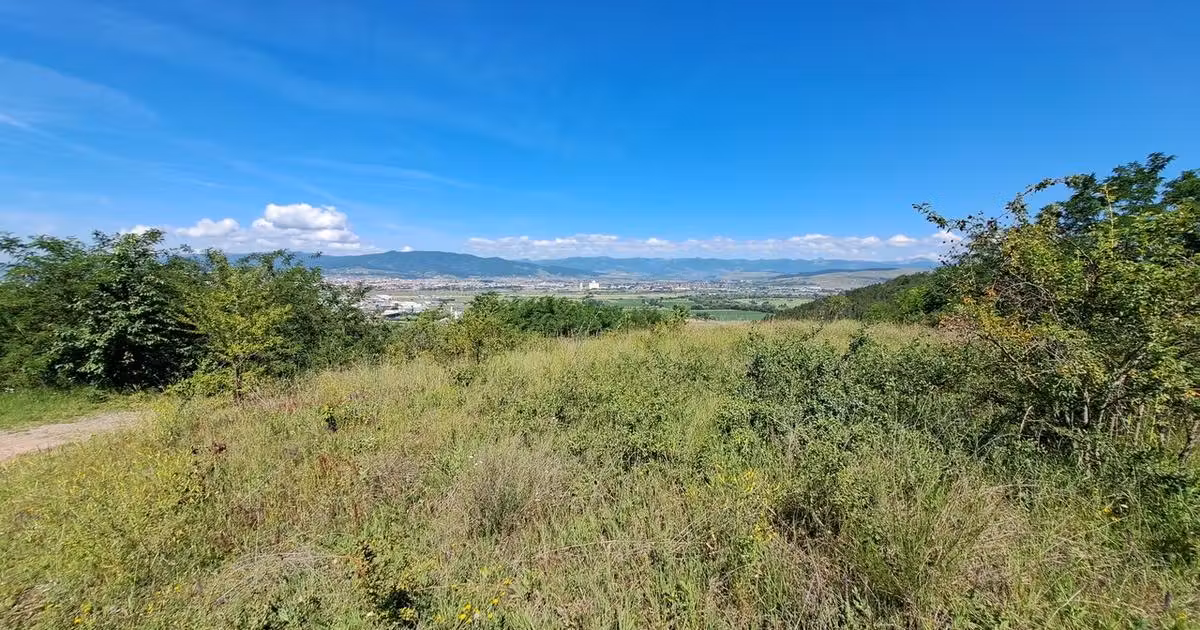 Teren Construcții intravilan de vânzare de 536 mp, în Ciugud