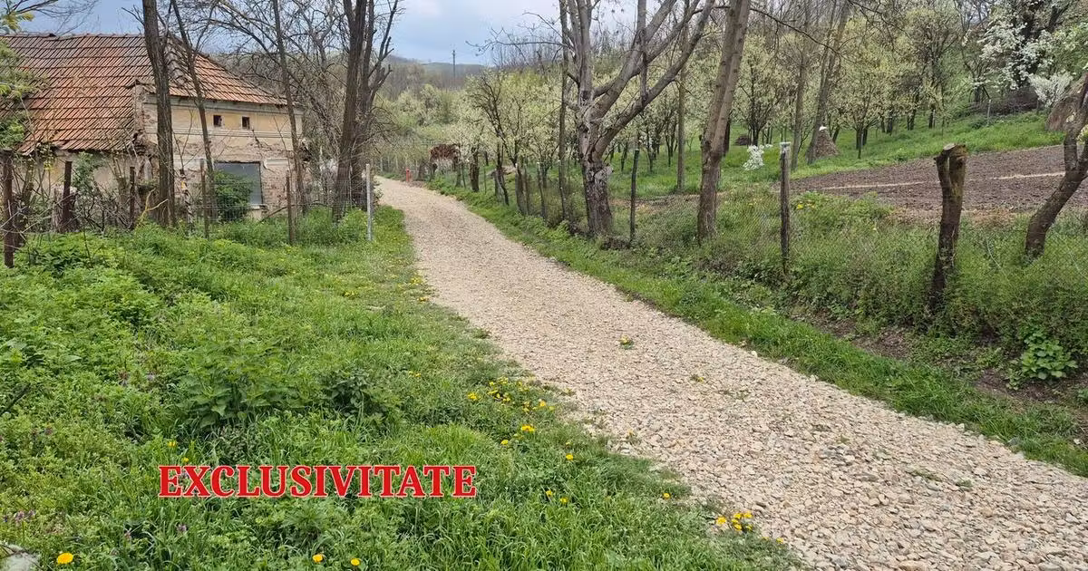 Teren Construcții intravilan de vânzare de 1295 mp, în Straja