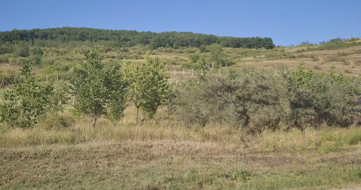 Teren Construcții intravilan de vânzare de 2500 mp, în Ciugud