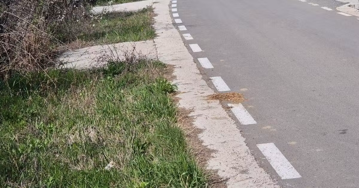 Teren Construcții intravilan de vânzare de 850 mp, în Totoi