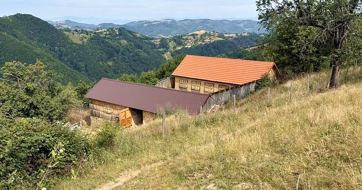 Casă individuală de vânzare cu 3 camere în Săsciori