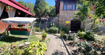 Casă Meteș