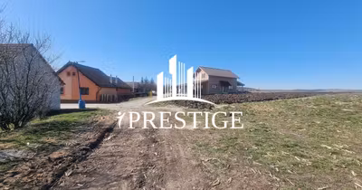 Teren Turnișor