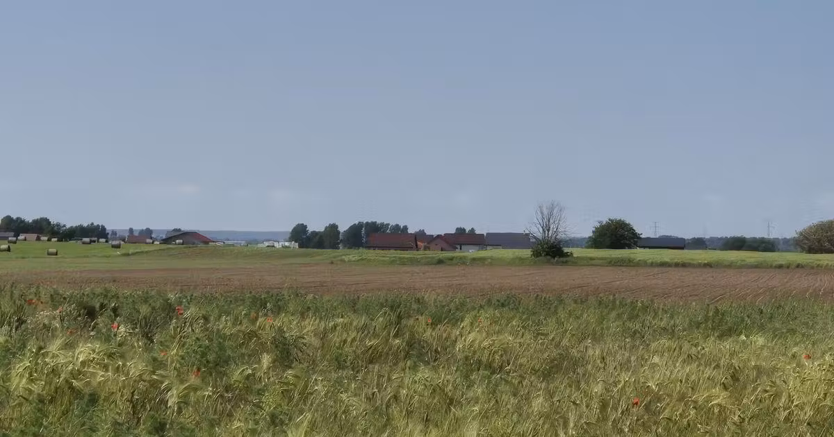 Teren agricol extravilan de vânzare de 5000 mp, în Berceni