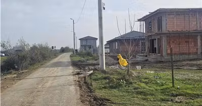 Teren Dărăști-Ilfov