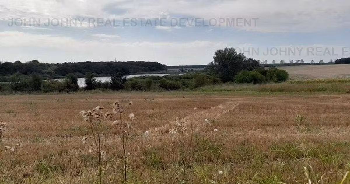 Teren Construcții intravilan de vânzare de 14100 mp, în Gruiu