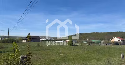 Teren Mărăști