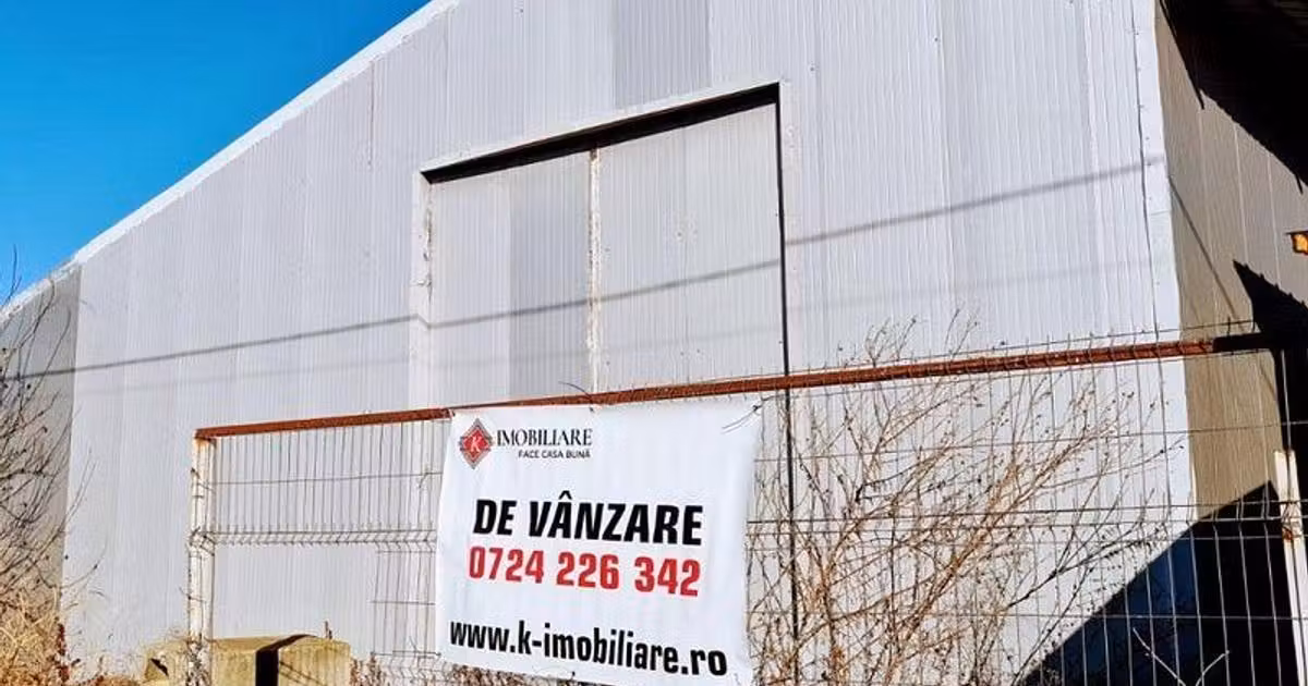 Spațiu industrial de vânzare în Sinești