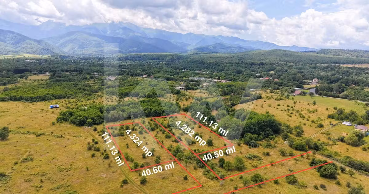 Teren agricol extravilan de vânzare de 8606 mp, în Avrig