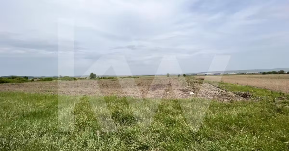 Teren Construcții intravilan de vânzare de 14800 mp, în Cristian