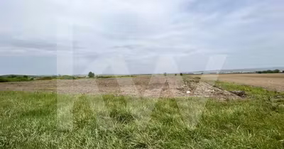 Teren Turnișor