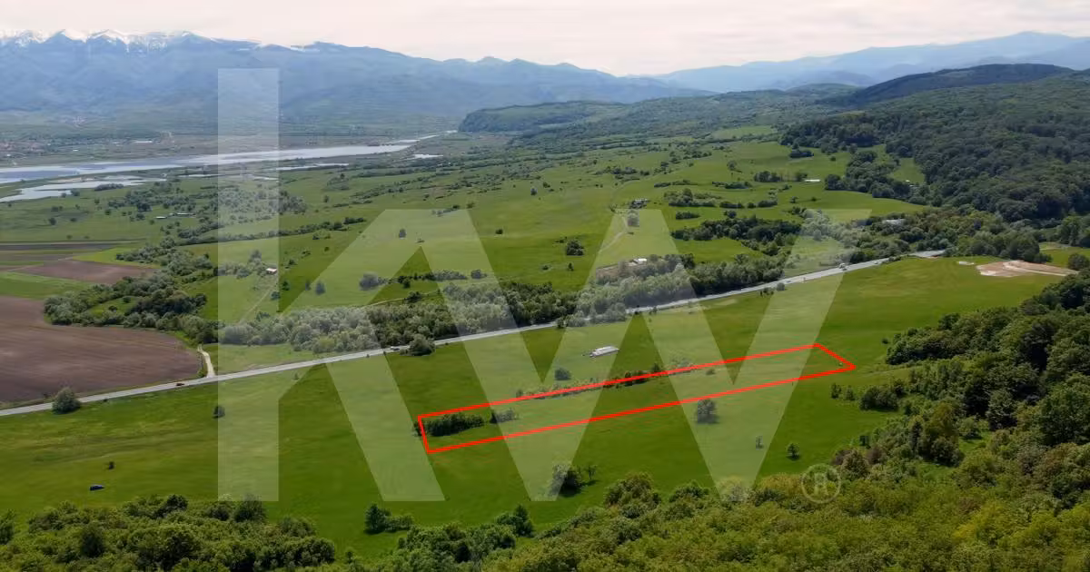 Teren agricol extravilan de vânzare de 4000 mp, în Bradu
