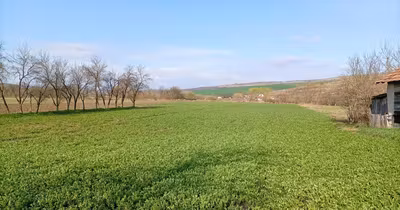 Teren Mărăști