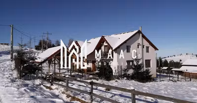 Spațiu comercial Turnișor