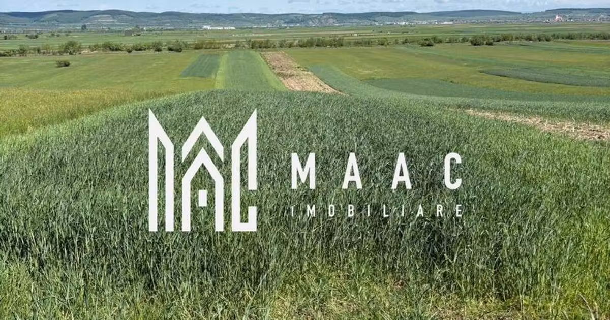 Teren agricol extravilan de vânzare de 2393 mp, în Gura Râului