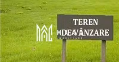 Teren Daia