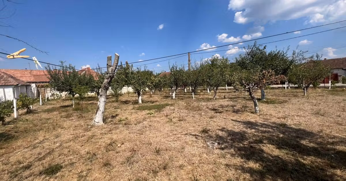 Teren agricol intravilan de vânzare de 1000 mp, în Tileagd