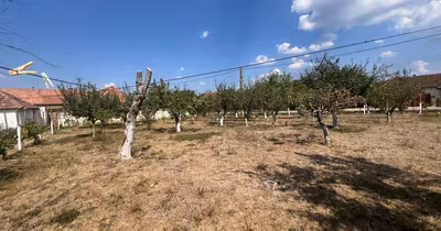 Teren Nufărul
