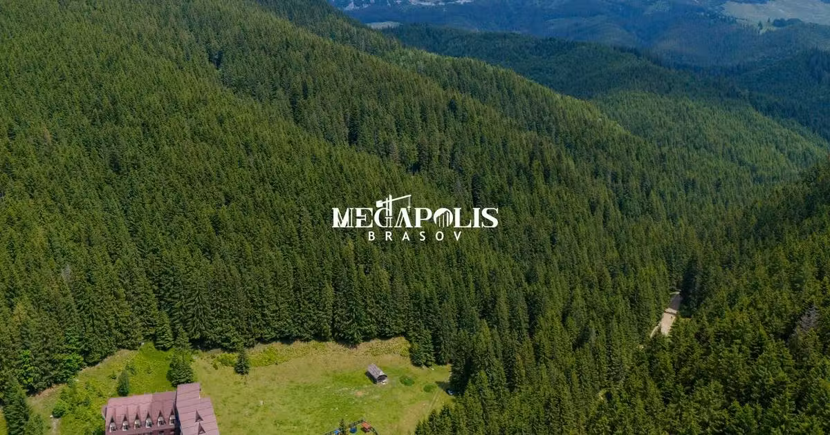 Teren Construcții intravilan de vânzare de 12307 mp, în Moieciu de Sus