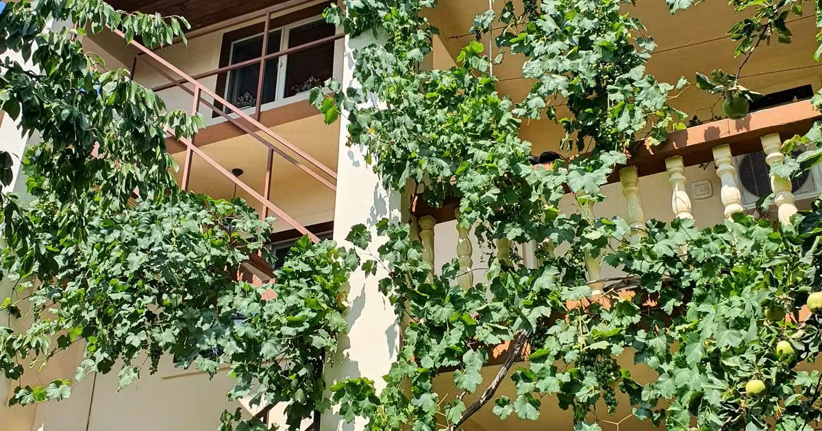 Casă individuală de vânzare cu 9 camere în zona Doamna Ghica, Sector 2