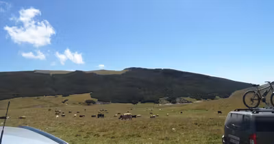Teren Moroeni
