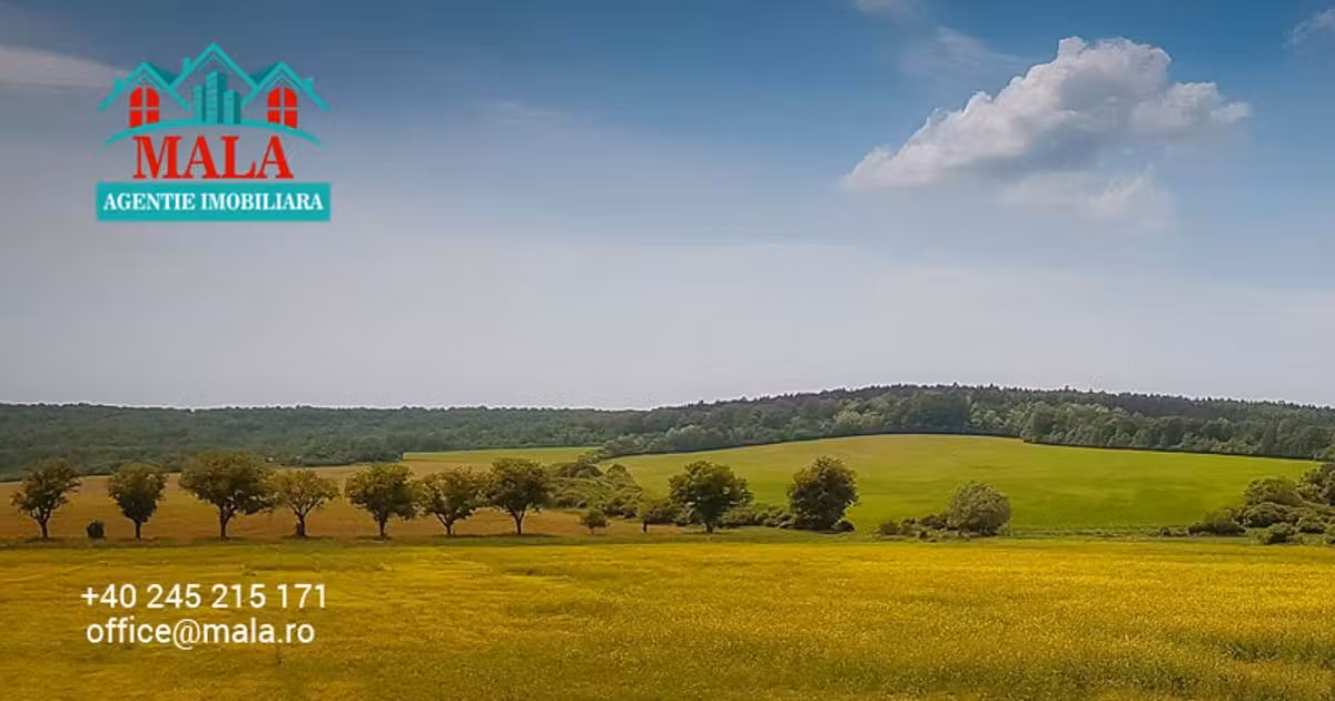 Teren agricol intravilan de vânzare de 7517 mp, în Bolovani