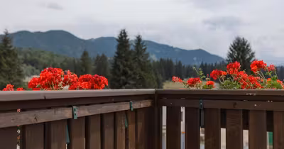 Apartament Poiana Brașov