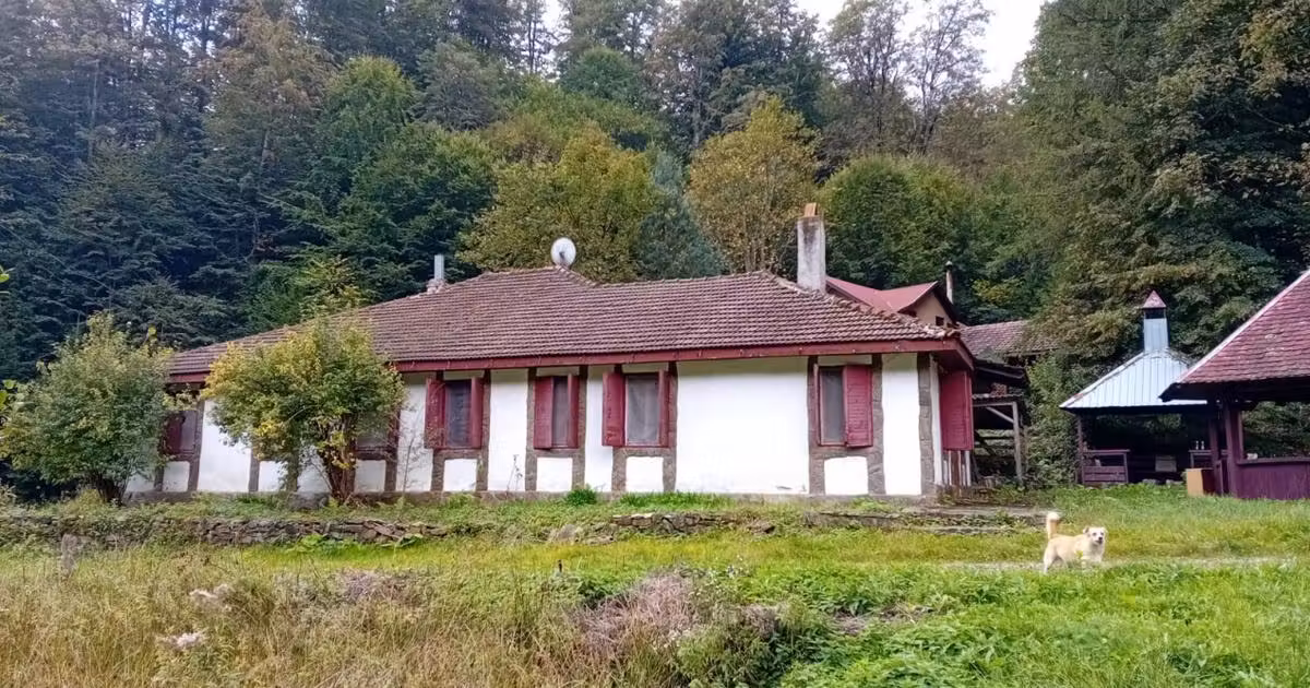 Casă individuală de vânzare cu 6 camere în Văliug