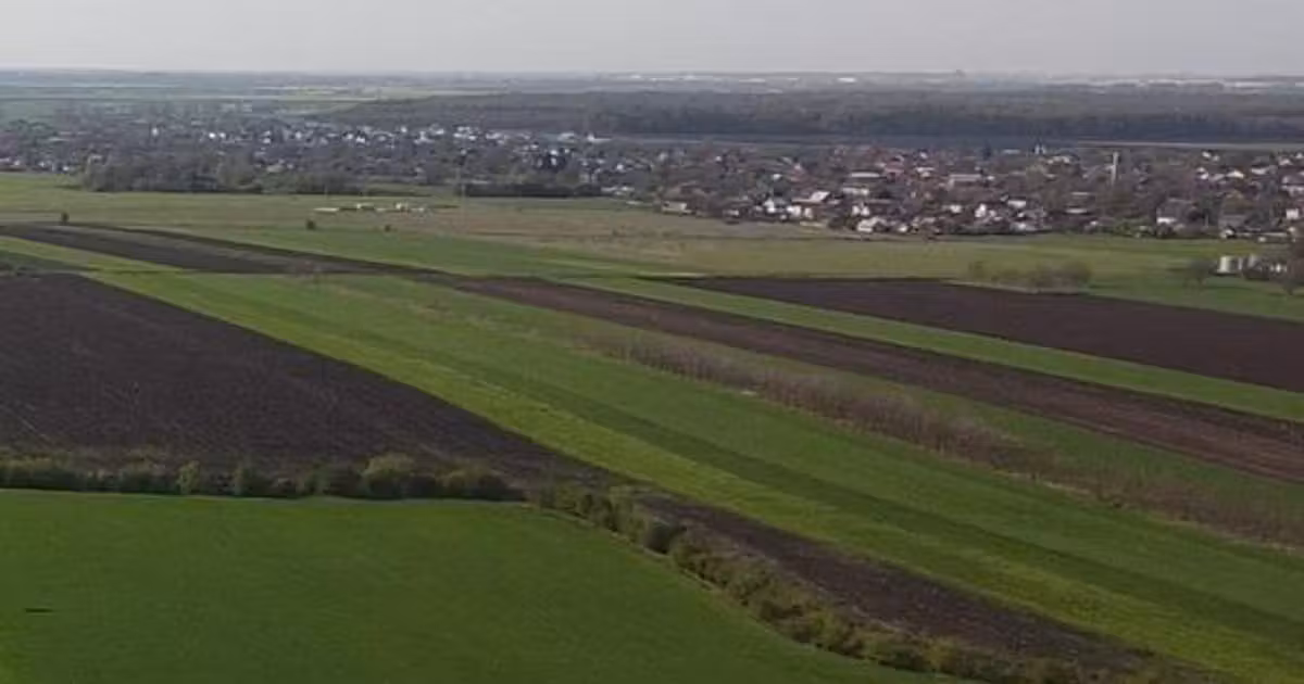 Teren Construcții intravilan de vânzare de 5000 mp, în Moara Vlăsiei