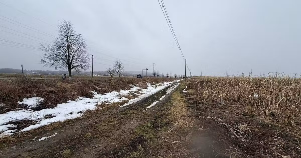 Teren agricol extravilan de vânzare de 7276 mp, în Gălănești