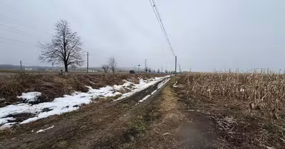 Teren Gălănești
