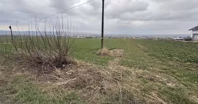 Teren Grănicești