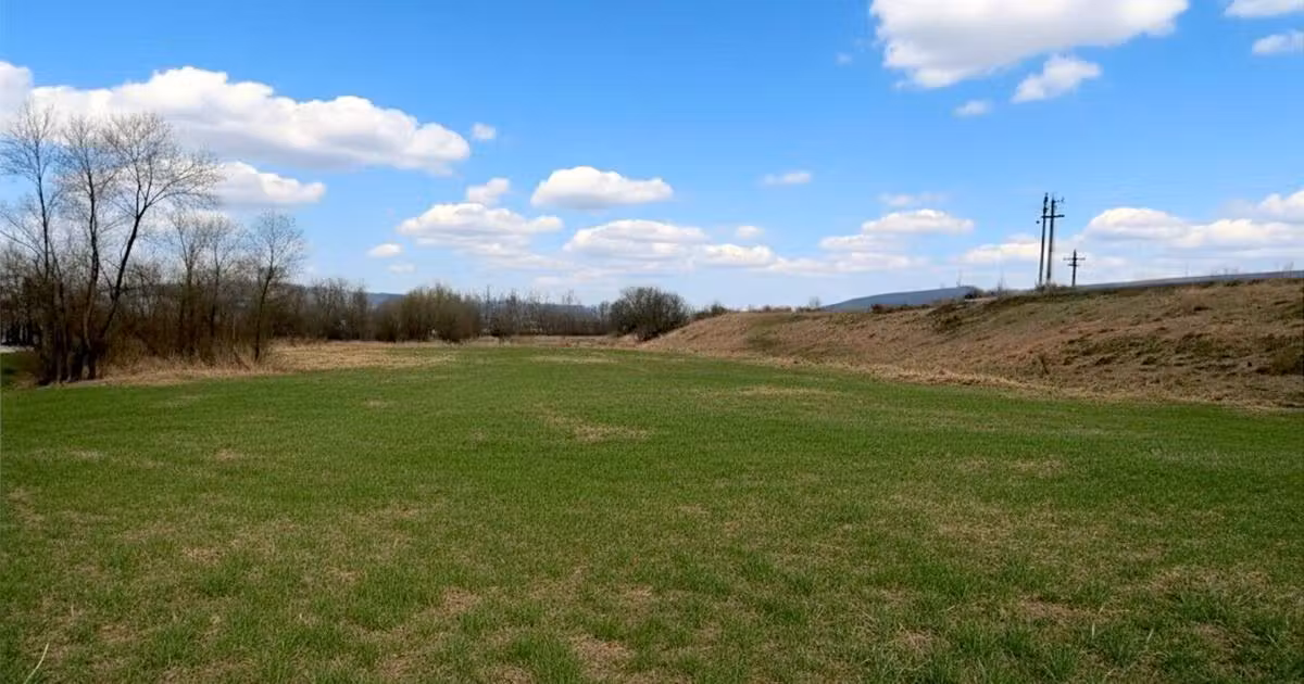 Teren Construcții extravilan de vânzare de 12400 mp, în Pătrăuți