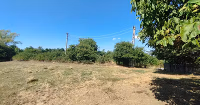 Teren Mănăstioara (Siret)