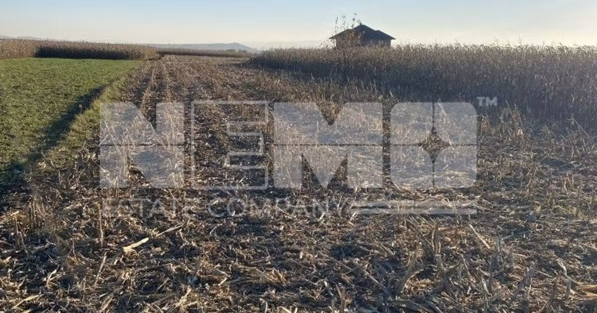 Teren Construcții intravilan de vânzare de 1400 mp, în Frătăuții Vechi