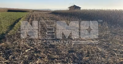 Teren Frătăuții Vechi