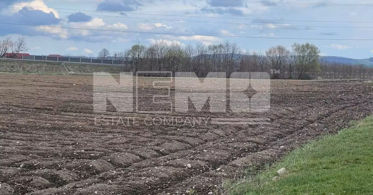 Teren Construcții extravilan de vânzare de 4800 mp, în Rădăuți