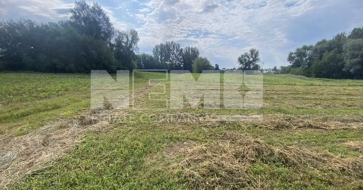 Teren agricol extravilan de vânzare de 2300 mp, în Satu Mare