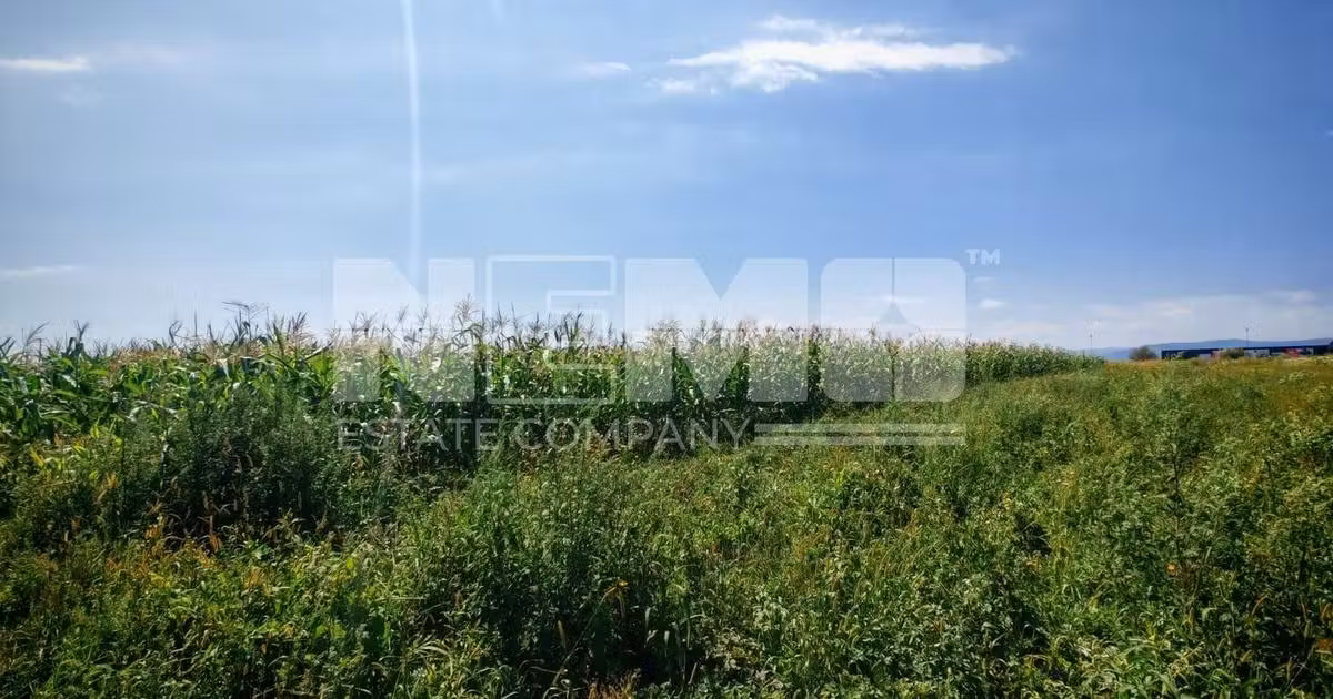 Teren agricol extravilan de vânzare de 2500 mp, în Rădăuți