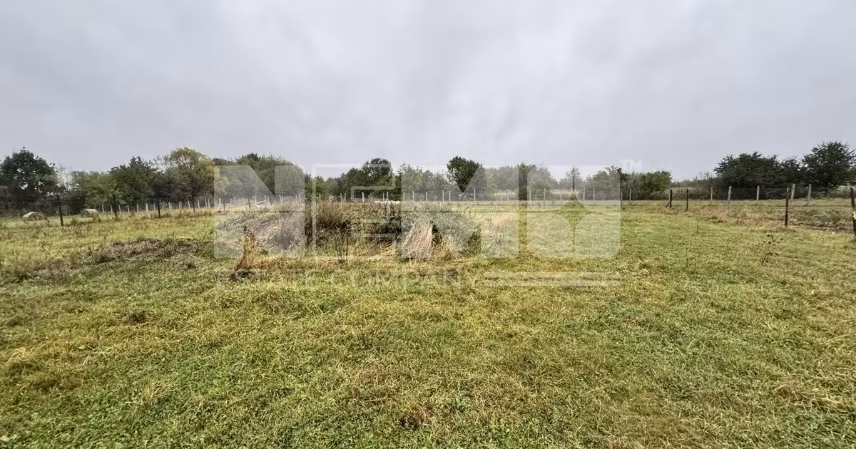 Teren Construcții intravilan de vânzare de 3355 mp, în Marginea