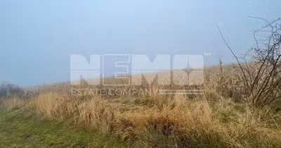 Teren Dărmănești
