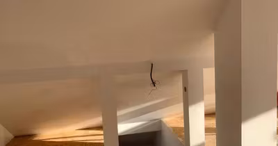Casă Vicovu de Sus